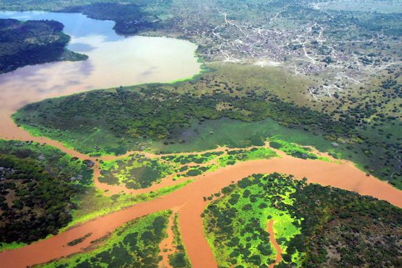 Volunteers collaborating on the Tana River shoreline
